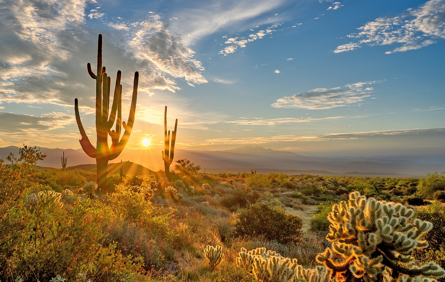 PHOENIX, ARIZONA
