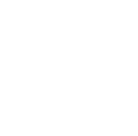 white clover